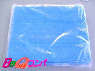 ���W���[�V�[�g