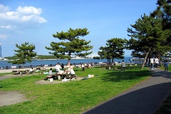 �_�ސ쌧BBQ�X�|�b�g(�C)�b�C�̌����b���l�s