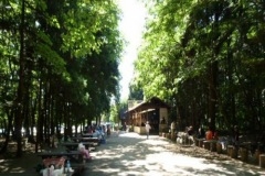 �R�E���BBQ�X�|�b�g�b��̐X�ӂꂠ���L�����v��b��a�s