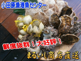 �C�N���荇�킹5���l�p