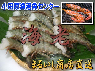 �C�V(�u���b�N�^�C�K�[)