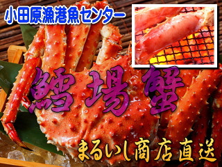 �^���o�I1�C800g(�A���X�J�Y)