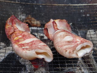 ����߂���